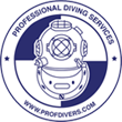 Professional Divers Training Academy