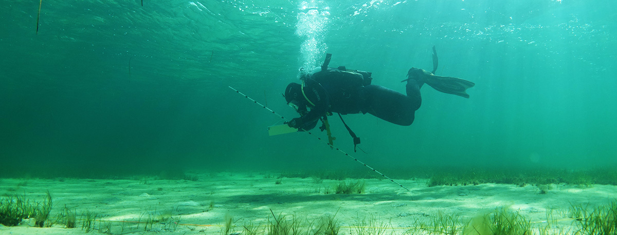 Scientific Diver undertaking maritime survey