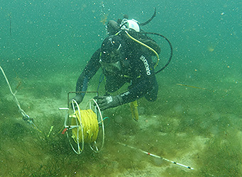 Scientific Diver with measuring equipment