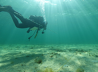 Scientific Diver